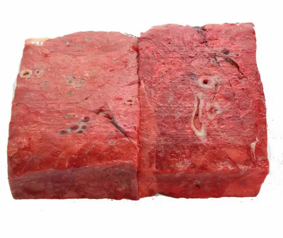 beef lung
